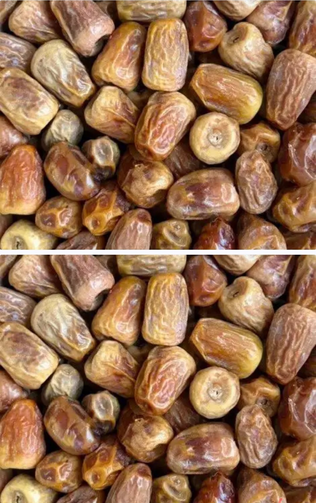 تمور جميع انوعها