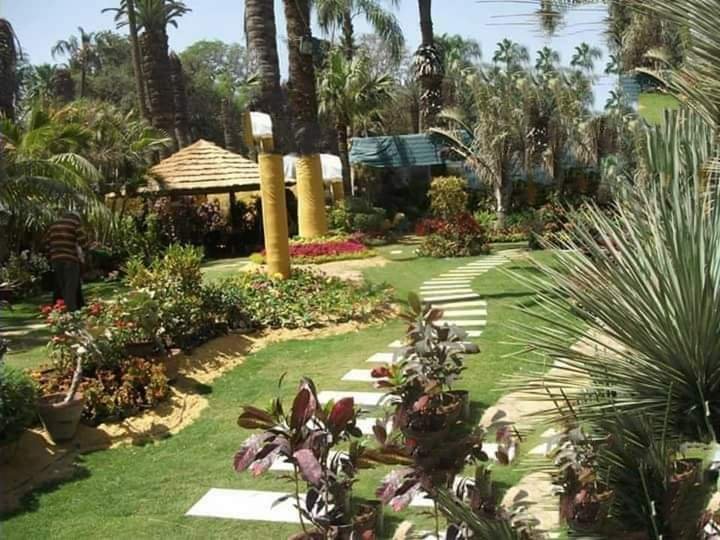 تنسيق حدائق
