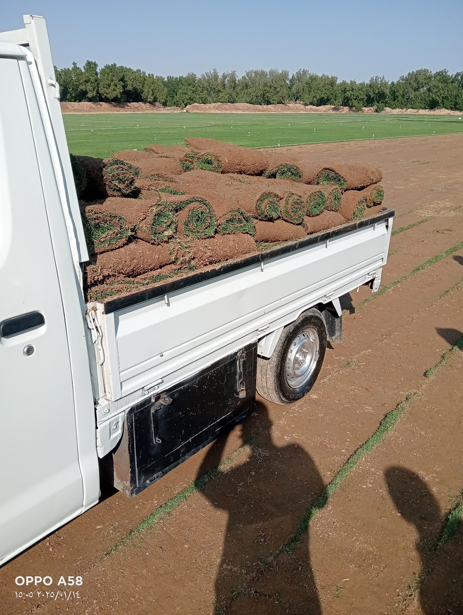 دباب توصيل ونقل البطائع 