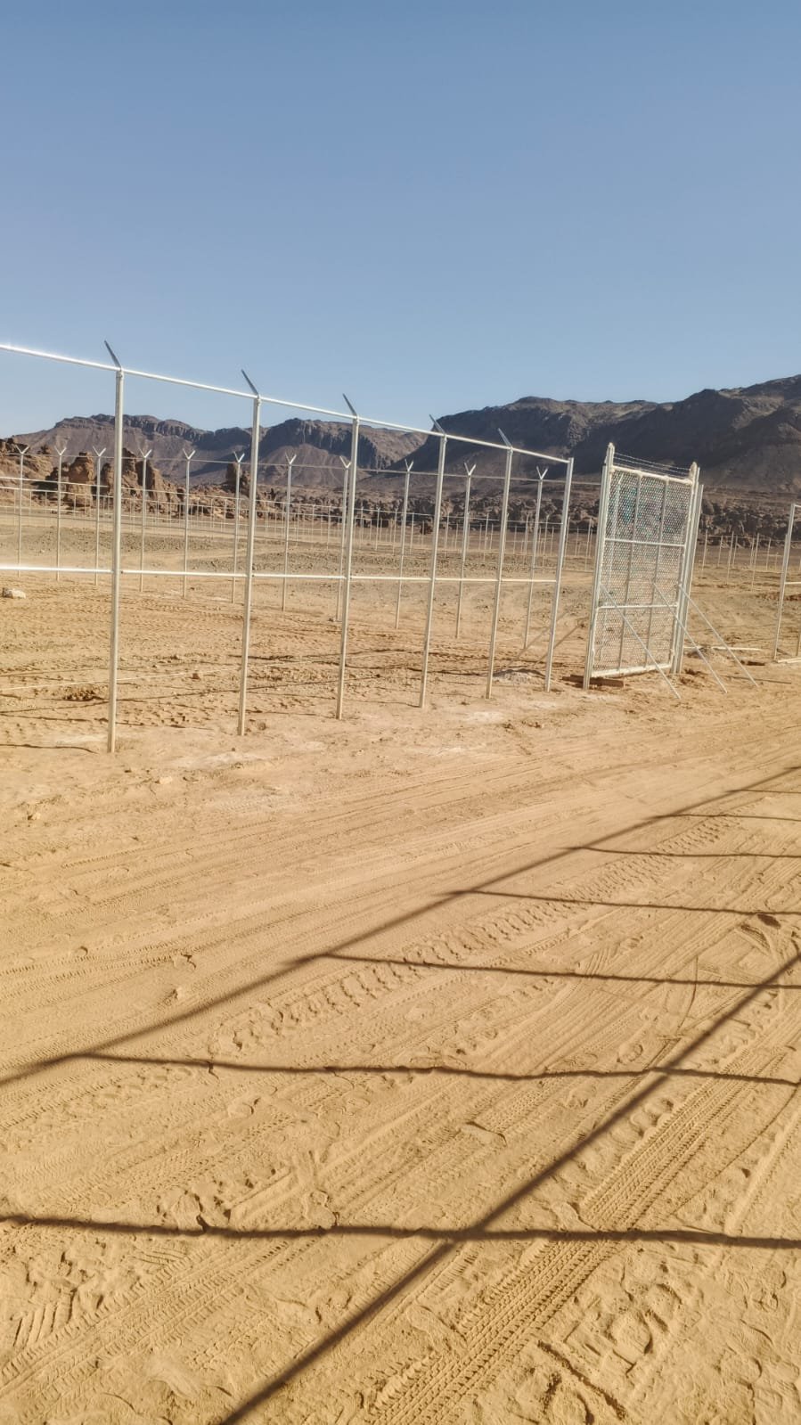 مقاول شبوك ونخيل توريد وتركيب — صورة 3
