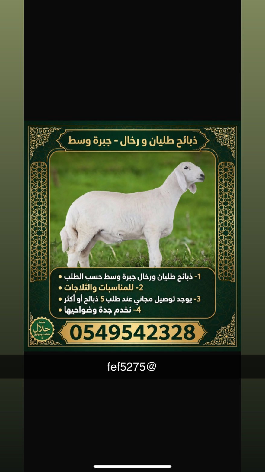 ذبائح ابو نايف — صورة 4