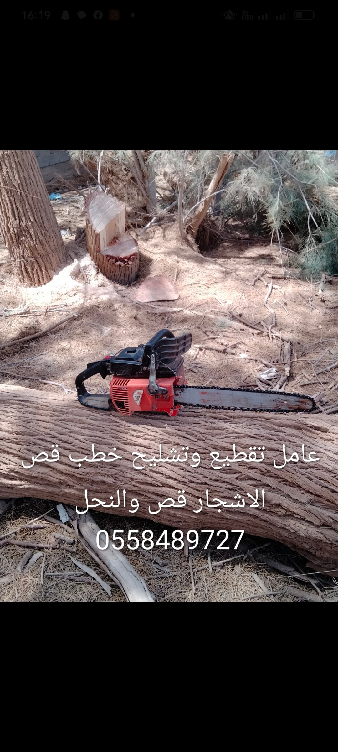 عامل تقطيع تشليح حطب قص الاشجار — صورة 2