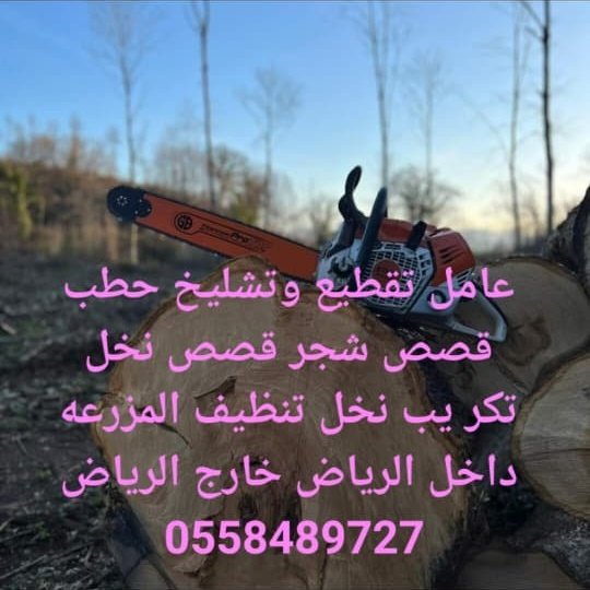 عامل تقطيع تشليح حطب قص الاشجار — صورة 1