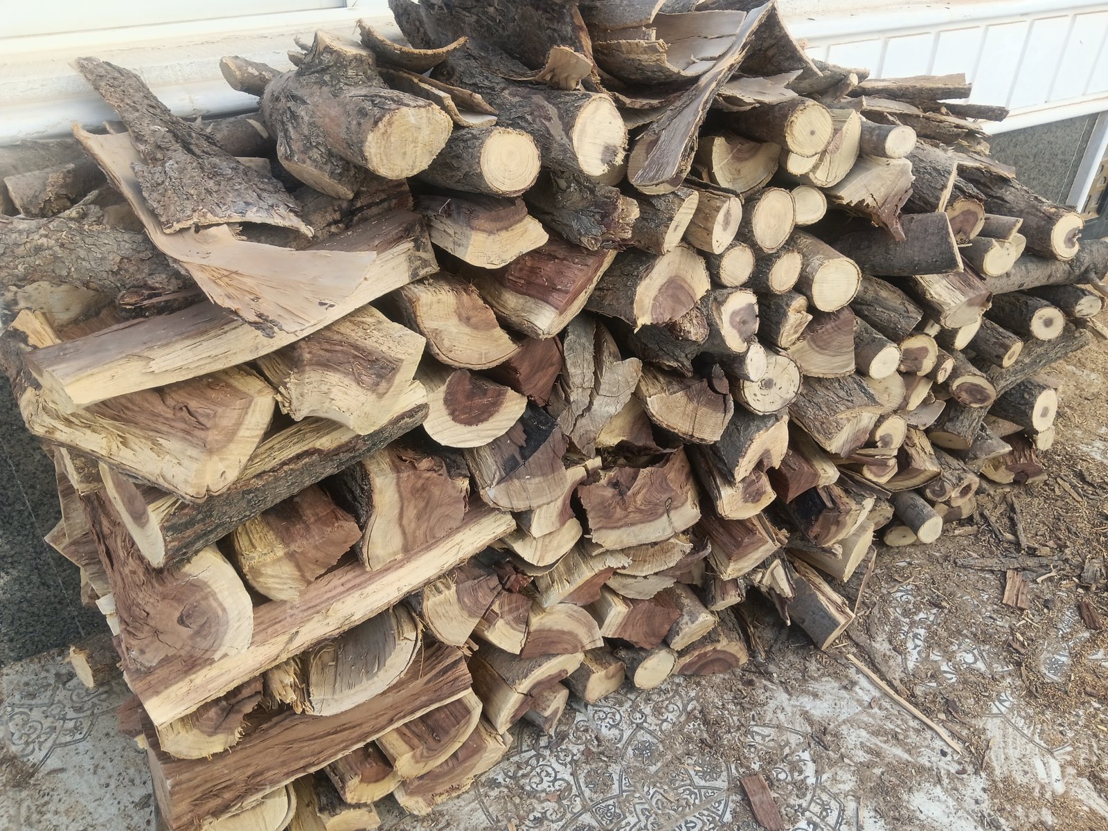 عامل تقطيع الحطب وتشليح الأشجار والنخل المنزل 