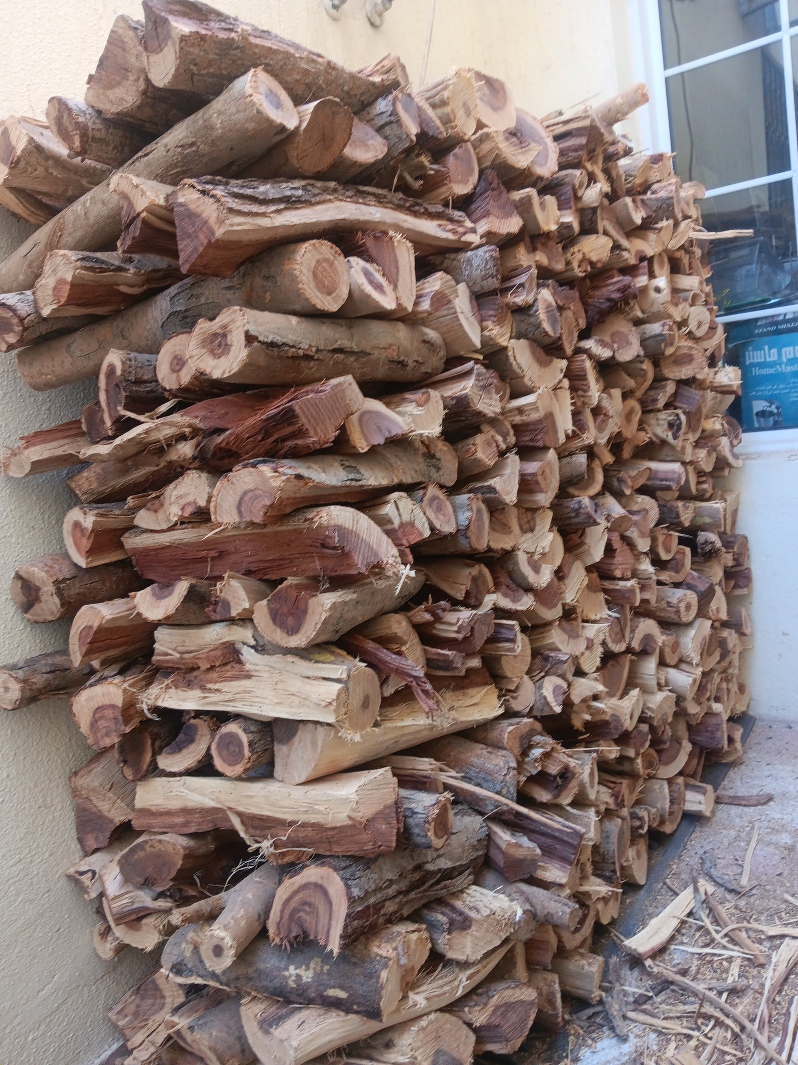 عامل تقطيع حطب وتشليح الأشجار والنخل المنزل 