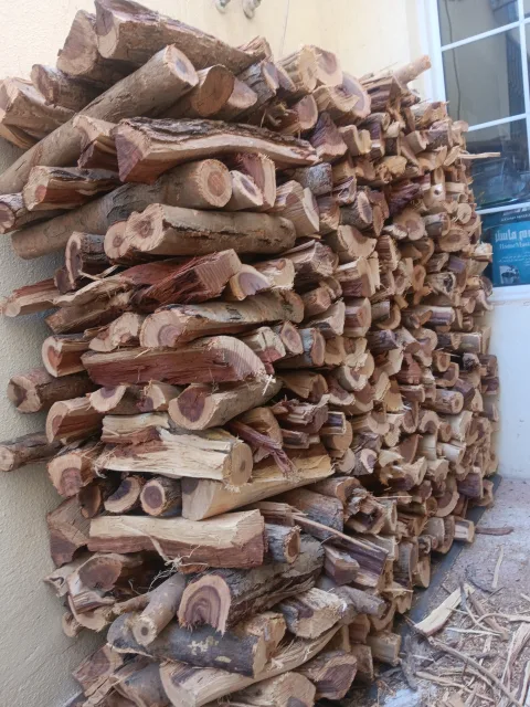 عامل تقطيع حطب وتشليح الأشجار والنخل المنزل 