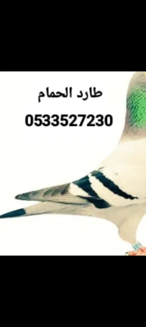 طارد حمام تركيب شبك اشواك مانع الطيور 